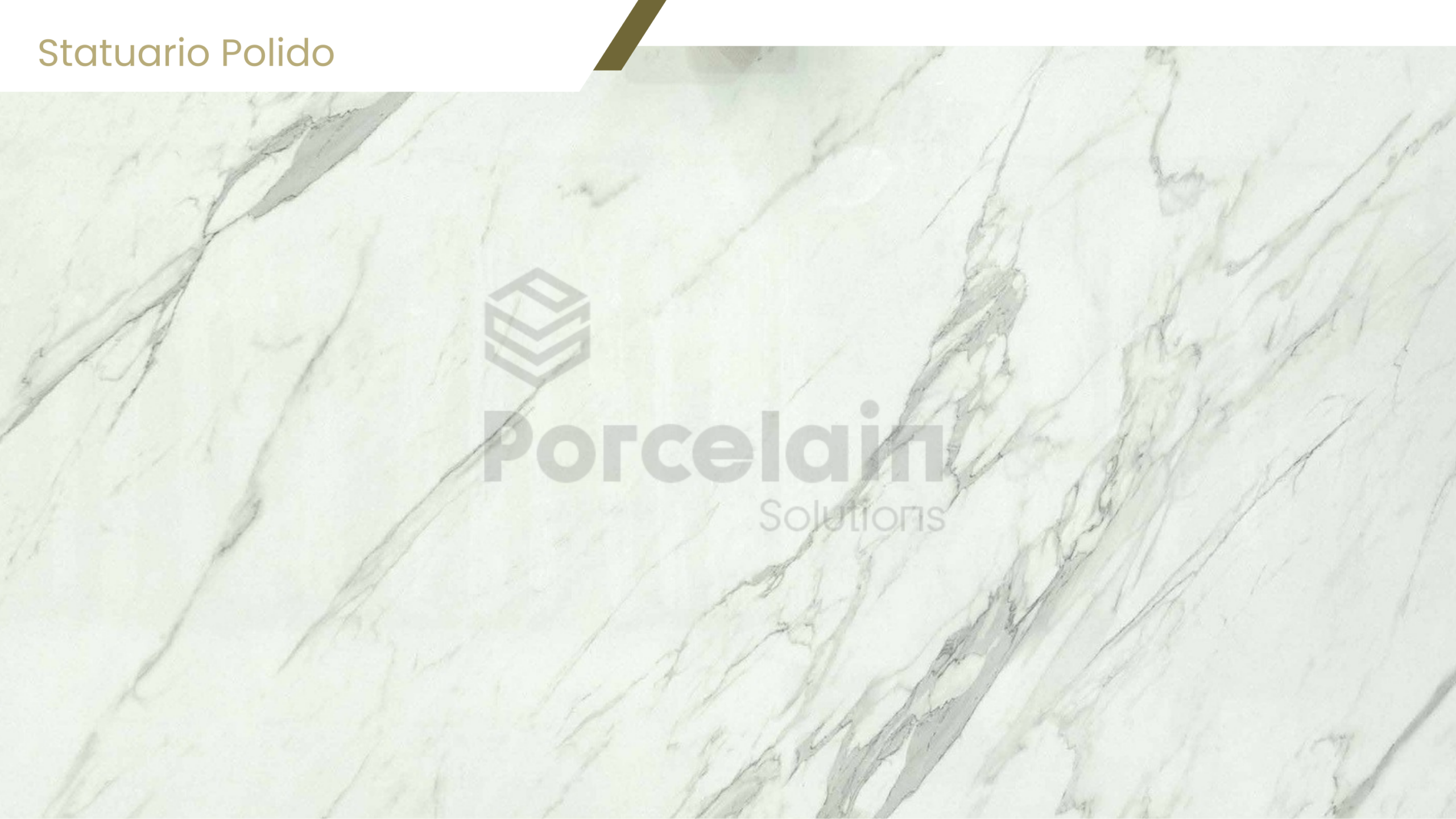 Statuario Polido